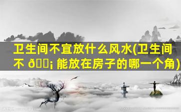 卫生间不宜放什么风水(卫生间不 🐡 能放在房子的哪一个角)